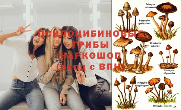 MDMA Premium VHQ Верея