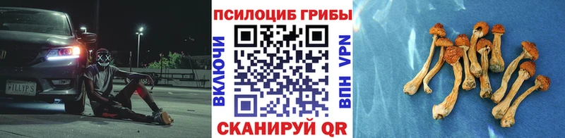 Галлюциногенные грибы мухоморы  продажа наркотиков  Кемь 