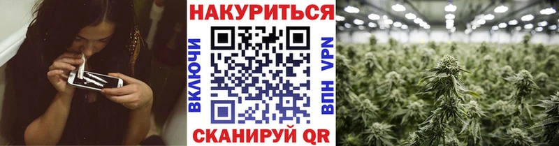 Бошки Шишки планчик  Кемь 